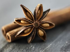 ANÍS ESTRELLADO SECO DE CULTIVO RECIENTE CON AROMA INTENSO / ANÍS ESTRELLADO PARA B2B - Product Image 2
