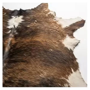 Pieles de vaca saladas secas a granel, calidad de exportación, pieles bovinas naturales sin procesar para la industria de curtido de cuero - Product Image 5