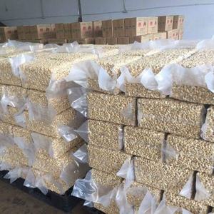 เมล็ดมะม่วงหิมพานต์ออร์แกนิกเมล็ด W320 W240 W180จากเวียดนามส่งตรงจากผู้จำหน่ายที่เชื่อถือได้ - Product Image 6