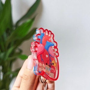 Dissected Heart Acrylic Shaker Cute Charms Custom Acrylic Shaker Keychain <b>Keyring</b> Wholesale Custom Personalized Design For Nurse - Product Image 2