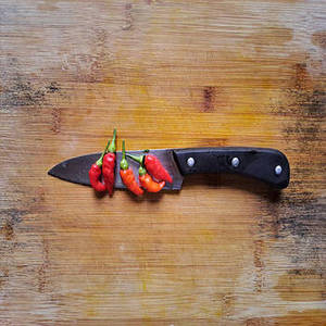 Piment rouge entier indien 100 % pur de qualité export, provenant du Gujarat, avec une durée de conservation de 24 mois, pour les entreprises d'approvisionnement international - Product Image 5