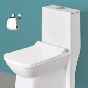 Inodoro de una pieza con sifón en S de 225 mm y dimensiones de 660x348x748 mm, descarga por arrastre, diseño sin borde. - Product Image 1