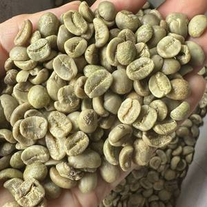 Grains de café écologiques Robusta entièrement lavés, taille 20, café vert du Vietnam, ferme durable - Product Image 1