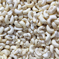 Goedkope prijs SANTIGO Cashewnoten Kaju Badam noten Korte levertijd Cashewnoten
