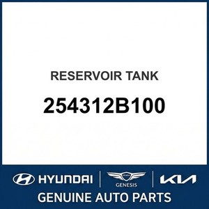 อะไหล่รถยนต์และรถบรรทุกซานตาเฟ่ใหม่ รุ่นอื่นๆ และอุปกรณ์เสริม 254312B100 - Product Image 1