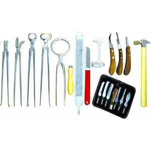 Kit de soins orthopédiques pour sabots de cheval, 13 pièces, outils de coupe, râpes, pinces, couteaux, instruments chirurgicaux pour l'entretien équin - Product Image 5