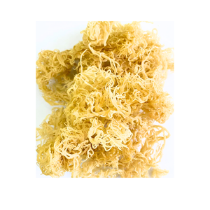 สาหร่ายคอตตอนนี่มีคุณค่าทางโภชนาการสูง ผลิตจากสาหร่าย 100% ของขวัญเพื่อสุขภาพที่มีค่า ราคาถูกที่สุดในตลาด - Product Image 6