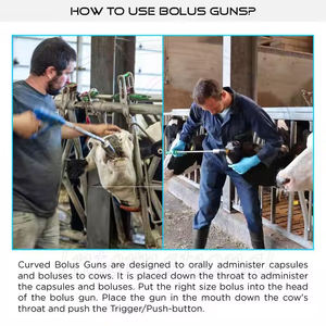 Applicateur de bolus de calcium courbé pour bovins, taille 25x72mm, longueur 24 pouces, corps en acier inoxydable, poignée en plastique, réutilisable, pistolet de distribution - Product Image 6