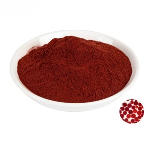 Extrait d'astaxanthine de qualité supérieure 2% Poudre antioxydante naturelle pour les formulations nutraceutiques, compléments alimentaires et bien-être - Product Image 1
