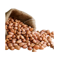 Kacang Tanah India Kelas Ekspor Premium, Kadar Air Maksimal 7-9%, Campuran 1% Aflatoxin, Sesuai Standar, Kemasan Dapat Disesuaikan, Grosir