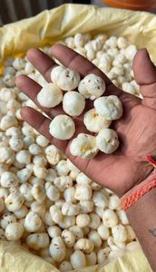 Noix de renard super premium, légères et croustillantes, alternative à faible teneur en gras, provenant d'un exportateur indien, au prix de gros. - Product Image 2