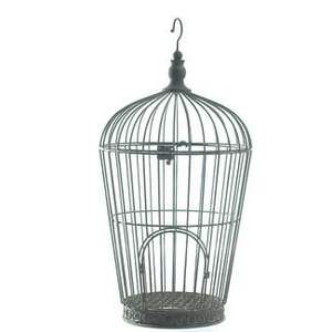 Jaula para Pájaros para Periquitos, Pinzones, Agapornis, con Soporte para Conchas de Sepia - Product Image 5