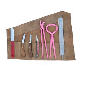 Kit de herramientas de herrador con mango de madera: juego de cuchillos para pezuñas, cuchillo para abscesos, cuchillo para separar los dedos de la pezuña, cuchilla estrecha, cuchilla de doble cara, lima raspadora para pezuñas y probador - Product Image 1