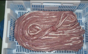 Intestins de porc congelés de haute qualité, produit porcin nutritif en emballage en boîte - Product Image 5