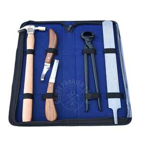 Kit d'outils de fermeur robuste pour le soin des sabots avec lime à double face, cisaille à sabots noire, marteau de fermeur, lame en D et couteau courbé - Product Image 1