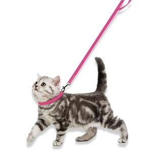 Plain <b>Dog</b> Collar & Leash Set OEM ODM Custom Logo Adjustable Nylon Pet Set Direct Manufacturer - Product Image 3