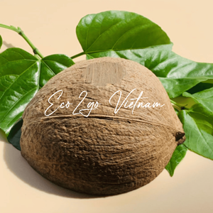 Bol à dessert en coquille de noix de coco naturelle, design classique, écologique, fait main, pour crème glacée, vaisselle réutilisable, Eco2go Vietnam, léger - Product Image 3