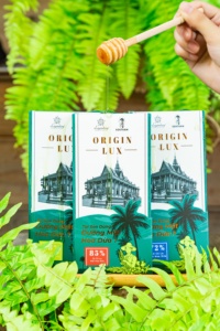 Chocolate Natural LEGENDARY CHOCOLATIER con Néctar de Coco y Azúcar, Snacks Saludables de Primera Calidad, Hecho en Vietnam para Venta Minorista - Product Image 5