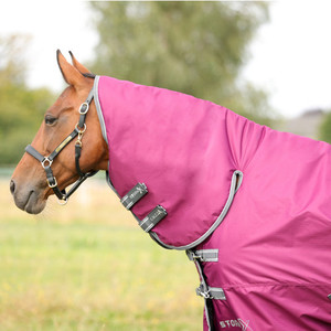 Mantas de Algodón para Caballos de Verano, Mantas para Caballos de Alta Calidad, Mantas para Caballos de Invierno de Gran Peso, Se Aceptan Pedidos de Fabricación Original (OEM) - Product Image 2