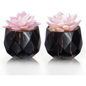 Piante Succulente Artificiali Carine con 2 Vasi in Ceramica Nera per Decorazione in Ufficio, Bagno, Cucina o Camera da Letto - Product Image 1