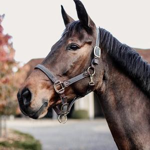 Harnais en nylon pour cheval, conçu sur mesure, pour l'équitation et les courses de chevaux - Product Image 2