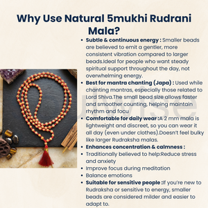 5 Mukhi Rudrani Mala <b>Religious</b> Wood <b>Gift</b> - Product Image 3