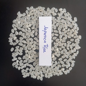 Haute qualité GRAIN MOYEN JAPONICA CALROSE KOSHIHIKARI riz blanc 25KG PP sac en gros sain Riz pour tous les marchés - Product Image 4