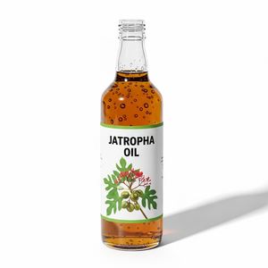 Aceite de Jatropha Refinado y Procesado Limpio para Mercados Industriales, Aceite de Jatropha Refinado de Alto Estándar con Capacidad de Suministro Confiable - Product Image 6