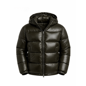 Veste matelassée brillante pour homme, à capuche, épaisse, style doudoune, légère, chaude, imperméable, veste à bulles - Product Image 1