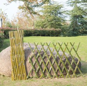 Varas de Bambú Tonkin Amarillo de Calidad de Exportación |   Estacas Resistentes para Construcción y Jardinería - Product Image 3