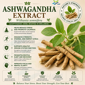 Suministro directo de fábrica HGO de extracto natural puro de Ashwagandha/Withania somnifera (grado alimenticio) Especificación 5:1 (extracto de proporción) - Product Image 2