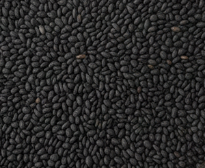 Graines de sésame noir indien, naturelles, séchées, pureté 99%, triées par Sortex, qualité supérieure, vente en gros, fournisseur d'exportation - Product Image 2