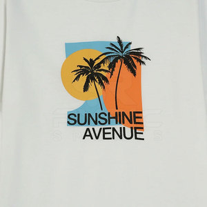 T-shirts imprimés pour hommes, faible MOQ, écologiques, coutures de précision, marque privée, qualité export pour un confort optimal - Product Image 4