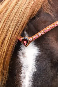 บังเหียนม้าหนังพรีเมียมแบบปรับได้ สวมใส่สบาย อุปกรณ์ขี่ม้าขายส่ง - Product Image 3