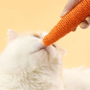 Toys for Pets Dog <b>Cat</b> Chew Toys Hot Selling Cute Paper Rope Woven Carrot Pet Playing Interactive Movement Toy - Product Image 6