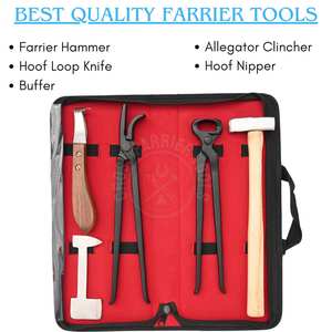 Kit d'outils de fermeur équin : Couteau à sabots noir, Pince à sabots, Outil de polissage, Pince à crochets, Marteau de fermeur antidérapant en acier inoxydable - Product Image 2