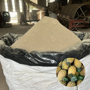 Polvo de Piel de Piña de Primera Calidad, Mejor Precio, Más Vendido, de Fábrica en Vietnam, Empacado en Bolsas de Varios Tamaños - Product Image 1