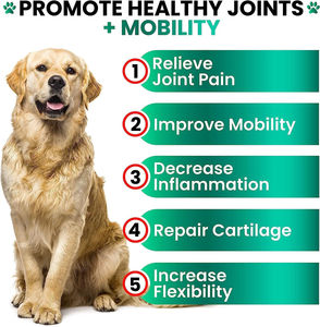 OEM Joint Support Chews for Dogs Cats Organic Glucosamine Hydrochloride Multivitamins Fast Absorption Mobility Health Care - Product Image 5