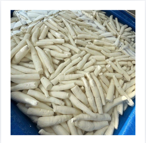 Tubería de Yuca Pelada Congelada IQF, Vegetal Blanco Entero a Granel - Product Image 1