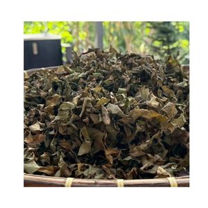 ใบเผือกอบแห้งธรรมชาติราคาถูก คุณภาพพรีเมียมสำหรับส่งออก ใบมันสำปะหลังแห้ง ใบยูก้าแห้ง ขายส่งทั่วโลก ใบเผือกเขียวสำหรับรับประทาน - Product Image 5