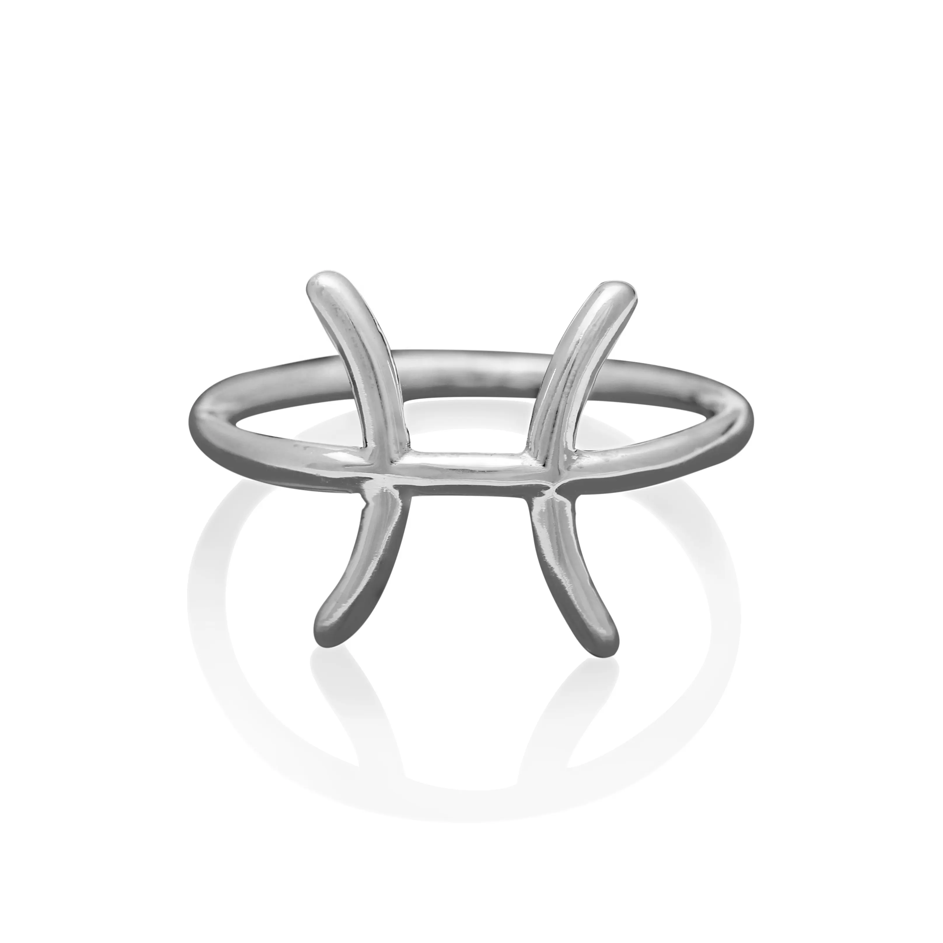Pisces Eenvoudig Dagelijks Dragen Geboorteteken Ring, Astrologisch Symbool Minimalistische Zilveren Ringen