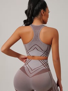 Womens Seamless Activewear 2 Piece Set Engineered Knit Bra and Silhouette Contouring Leggings Tight Sport Yoga Suit Tracksuit - Product Image 6