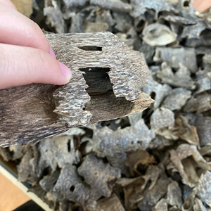 Copeaux de bois d'oud de haute qualité fabriqués au Vietnam pour la fumigation, la fabrication d'encens et la création de parfums - Product Image 4
