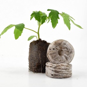 <b>Coir</b> Pellet Wholesale Good Quality Natural Cocopeat Coconut Fiber Grow Bags Made in Vietnam - Product Image 2