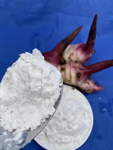 Poudre d'amidon d'arrowroot biologique de qualité supérieure, texture fine, idéale pour les ingrédients alimentaires et la vente en gros, provenant du Vietnam - Product Image 3
