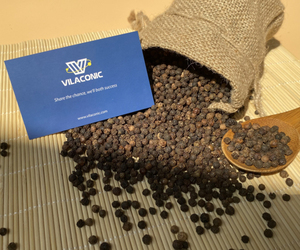 Pimienta Negra de Calidad Premium de Proveedores Vietnamitas 570G/L FAQ Limpia con Aroma Picante para Venta al por Mayor en Grandes Cantidades y Procesamiento en Crudo - Product Image 2
