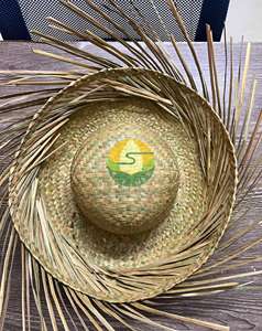 Sombrero de paja Pava con estampado hawaiano, sombrero vaquero de hierba marina, paja de hoja de palma natural para deportes al aire libre, fiestas, viajes, ciclismo, pesca - Product Image 1