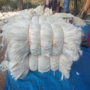 Fibres de sisal 100 % naturelles et durables pour les fabricants de cordes professionnels, les fabricants d'artisanat, les fournisseurs agricoles et les industries. - Product Image 1