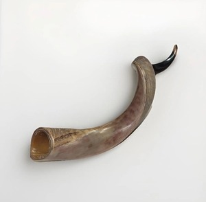 Corne à souffler professionnelle, instrument de musique pour événements en plein air, célébrations, fans de sport, fêtes et activités de divertissement - Product Image 5
