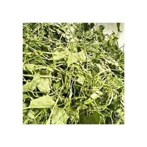 เครื่องเพนนีเวิร์ทแบบแห้งเหมาะสำหรับการชงชาร่างกายสดที่มีประโยชน์จากธรรมชาติ - Product Image 2